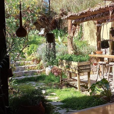 Apartamento En El Vivero Tilcara Luaran gambar