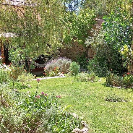Apartamento En El Vivero Tilcara Luaran gambar