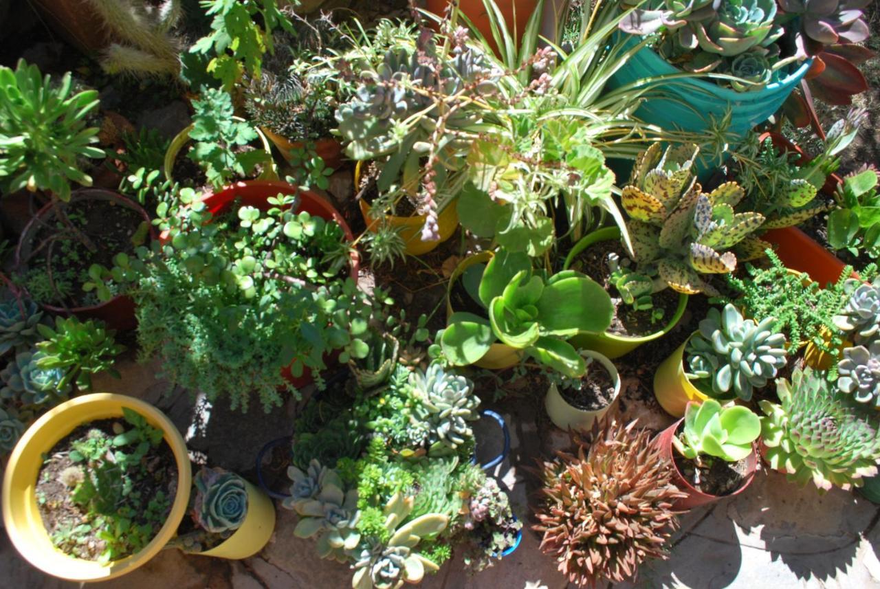 Apartamento En El Vivero Tilcara Luaran gambar