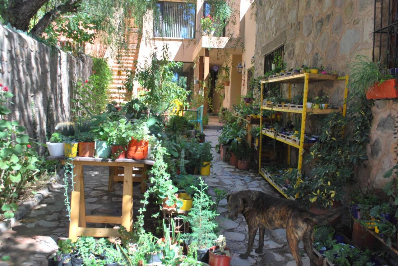 Apartamento En El Vivero Tilcara Luaran gambar
