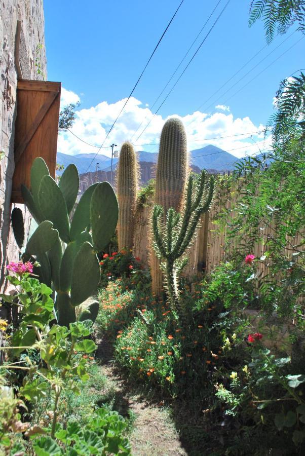 Apartamento En El Vivero Tilcara Luaran gambar