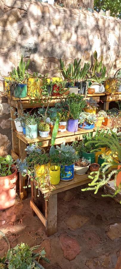 Apartamento En El Vivero Tilcara Luaran gambar