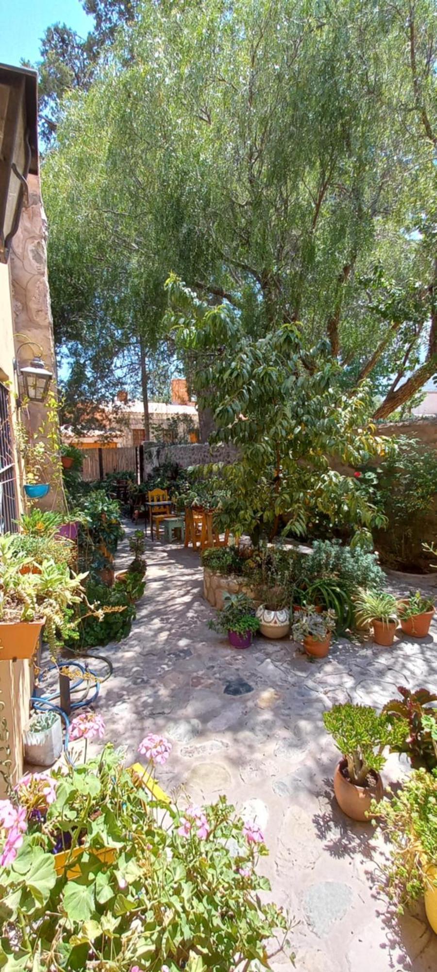 Apartamento En El Vivero Tilcara Luaran gambar